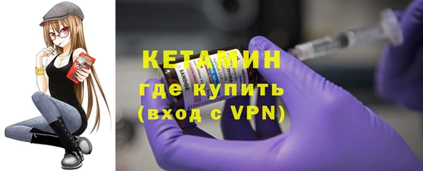 тгк Дмитриев