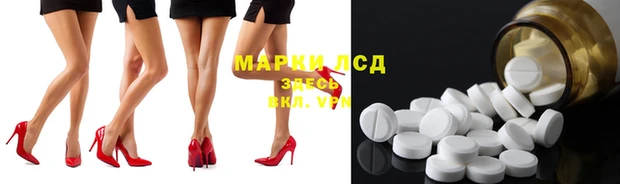 тгк Дмитриев