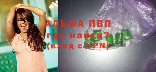 тгк Дмитриев