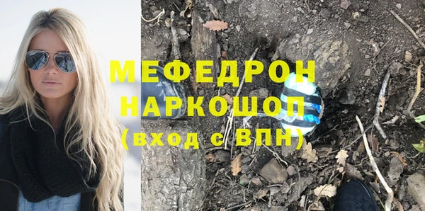 тгк Дмитриев