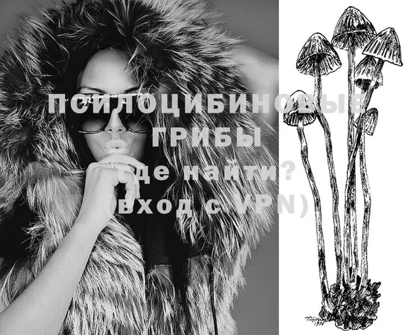 меф Дмитров