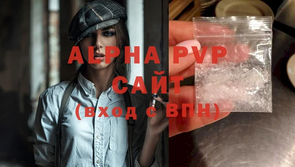 тгк Дмитриев