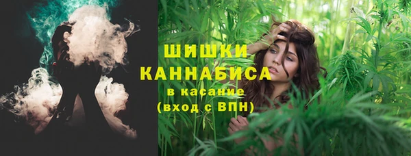 молекула духа Дмитровск