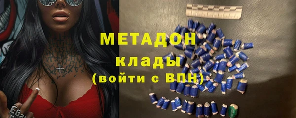 тгк Дмитриев